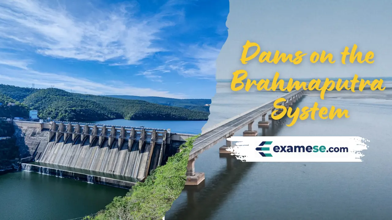 Dams on the Brahmaputra System