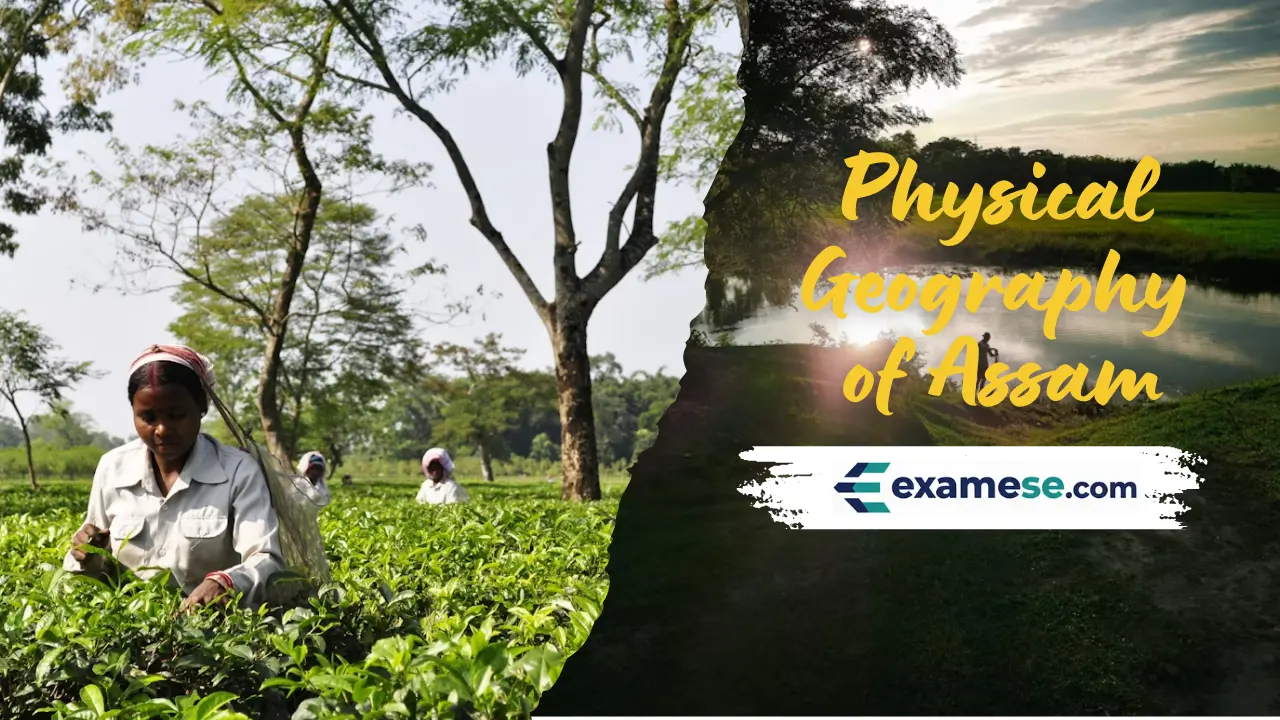 Physical Geography of Assam