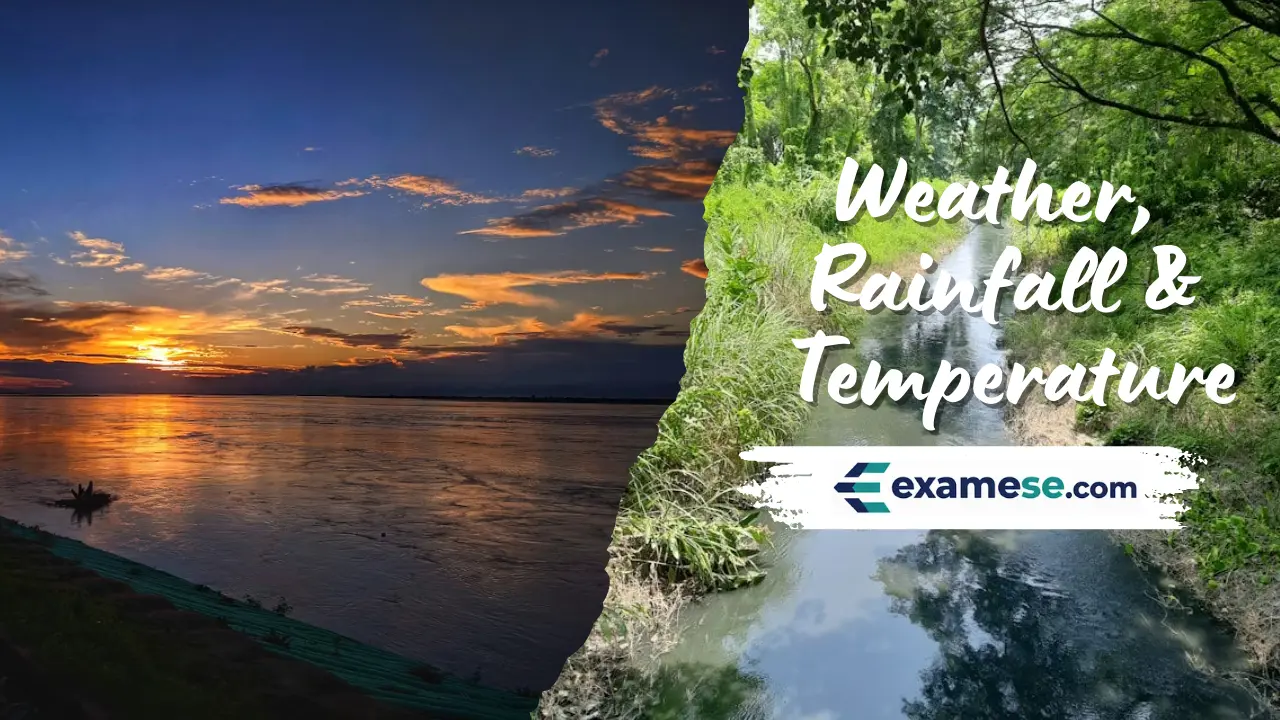 Weather, Rainfall & Temperature